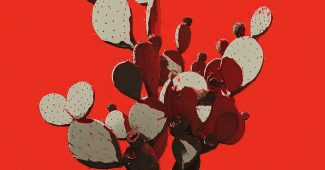 ChatGPT_AI提示词_一个仙人掌果实_chatgpt在线聊天查询缩略图