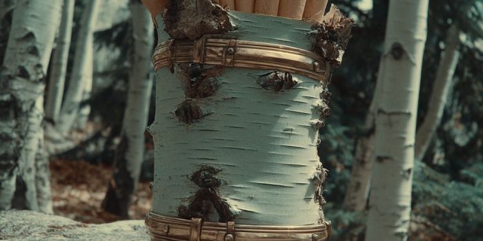 AI提示词_一块古老的桦树皮_chatgpt中文官网缩略图