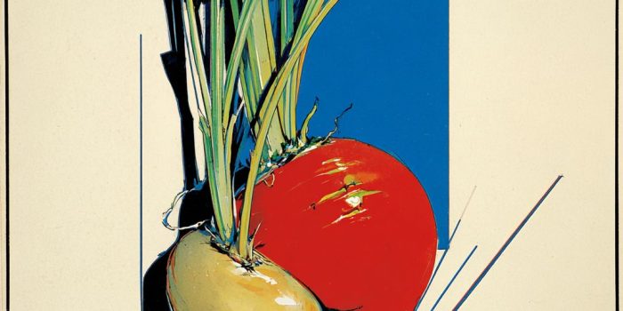 AI提示词_丰盛的根茎蔬菜_chatgpt 中文缩略图