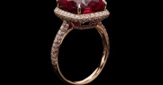 ChatGPT_AI提示词_一枚10克拉红宝石女士戒指，18K金，钻石光环，微镶钻石带_gpt会员价格缩略图