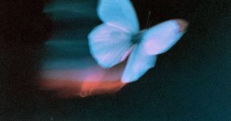 ChatGPT_AI提示词_一只翅膀微燃的蝴蝶在梦幻般的氛围中展翅_chatgpt帐号购买缩略图