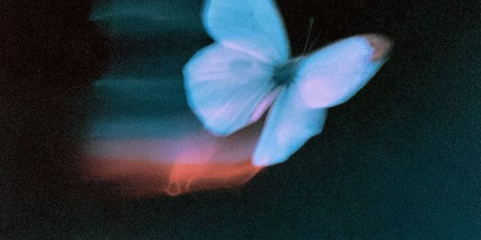 ChatGPT_AI提示词_一只翅膀微燃的蝴蝶在梦幻般的氛围中展翅_chatgpt帐号购买缩略图