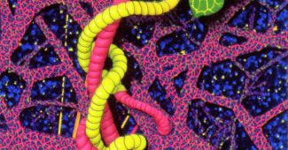 AI提示词_一根野生常春藤的卷须_chatgpt会员共享多少钱缩略图