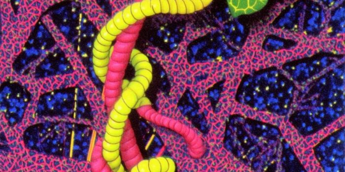 AI提示词_一根野生常春藤的卷须_chatgpt会员共享多少钱缩略图