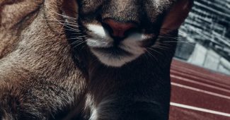 49bc9db072d5e9556d37fca383d7ba05