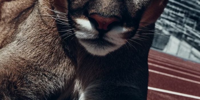 49bc9db072d5e9556d37fca383d7ba05