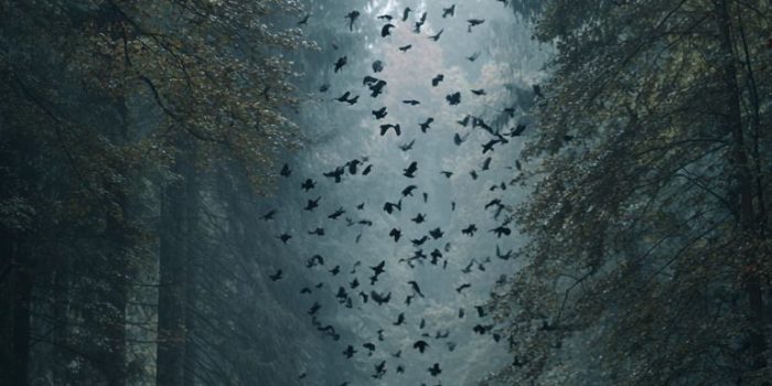 ChatGPT提示词_一辆黑色的阿尔特卡停在森林路中，周围有乌鸦飞翔_chatgpt免费版和付费版区别缩略图