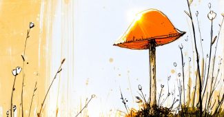 ChatGPT_AI提示词_一个小蘑菇帽_chatgpt会员费用缩略图