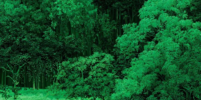 ChatGPT_AI提示词_这是一个充满不同绿度的森林和湖泊的场景，湖边有一匹白马_chatgpt会员共享多少钱缩略图