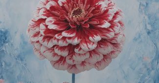 AI提示词_一朵鲜艳的百日草花_gpt会员充值wildcard缩略图