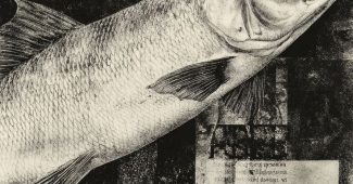 ChatGPT_AI提示词_复古黑白拼贴艺术，抽象的鱼与文字组合_chatgpt帐号缩略图