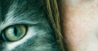 4f60625324dfbd727f16f1ff4d795f82