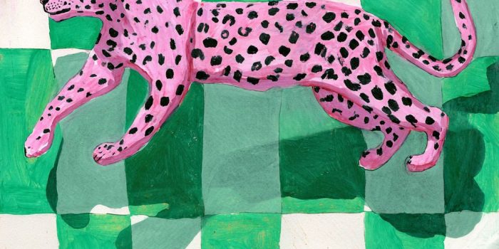 503590df2c09673d8f9671f475e398f1