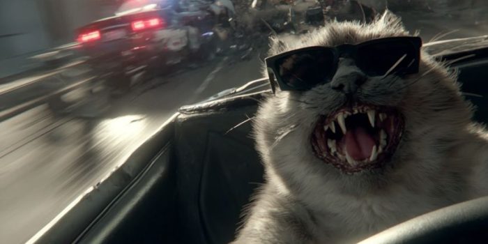 517e3e0e499c89e9c40c11be94b7b5a9