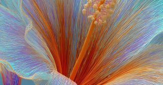 AI提示词_一朵由多彩丝线制成的花_chatgpt中文网缩略图