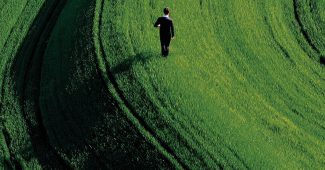 ChatGPT提示词_广阔的绿色田野中，一名男子正走在中央_chatgpt注册失败缩略图