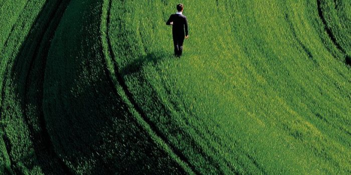 ChatGPT提示词_广阔的绿色田野中，一名男子正走在中央_chatgpt注册失败缩略图