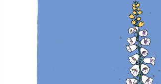 AI提示词_一根野生的毛地黄花穗_chatgpt5.0可以用吗缩略图