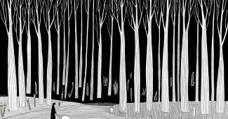 ChatGPT_AI提示词_一片雾气弥漫的竹林_chatgpt网页在线版缩略图