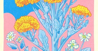 AI提示词_一幅描绘西兰花植物的复古植物插图，底部标有“无用杂草”字样_国内如何开通gpt会员缩略图