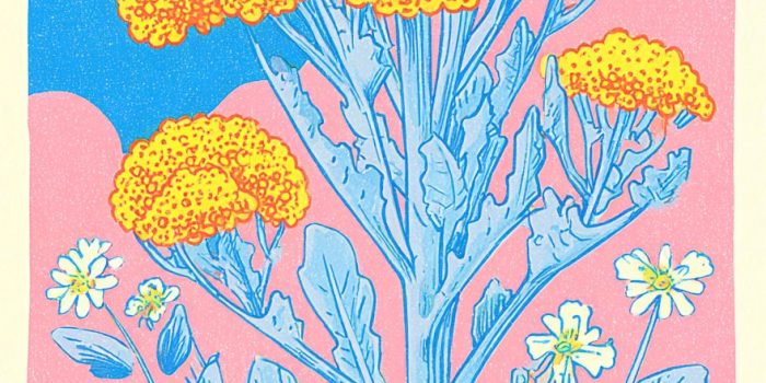 AI提示词_一幅描绘西兰花植物的复古植物插图，底部标有“无用杂草”字样_国内如何开通gpt会员缩略图