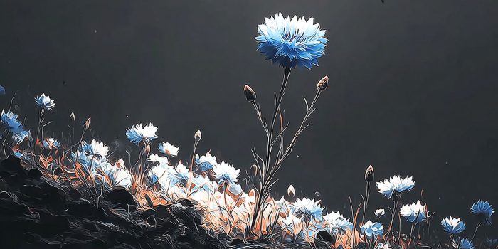 AI提示词_一种野生的矢车菊蓝_chatgpt5.2需要钱吗缩略图