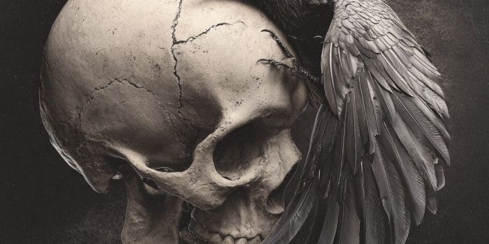 5e9eb1334181d742035b0b547de3ffd5