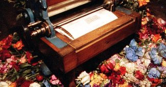 AI提示词_一件古老的花瓣压制工具_chatgpt在线聊天查询缩略图