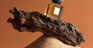 ChatGPT_AI提示词_一瓶矩形玻璃香水瓶静置在精致的漂流木上_chatgpt中文版网页缩略图