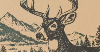 60c491919b7a8be982334c4ef80545b8