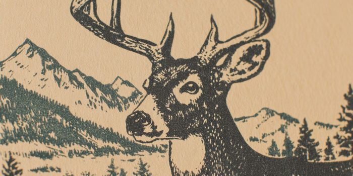 60c491919b7a8be982334c4ef80545b8