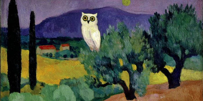 ChatGPT_AI提示词_夜晚出现了一只智慧的老猫头鹰_chatgpt plus是什么缩略图