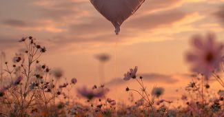 ChatGPT提示词_日落时分，心形气球在野花田上空漂浮_chatgpt中文官网缩略图