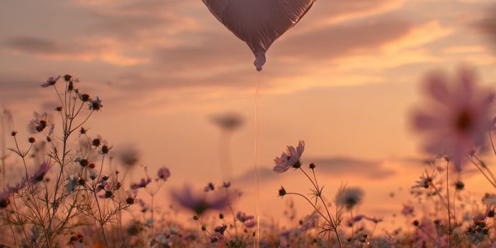 ChatGPT提示词_日落时分，心形气球在野花田上空漂浮_chatgpt中文官网缩略图