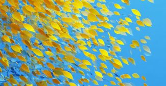 ChatGPT提示词_一幅抽象艺术插图展示了明亮的抗锑黄鱼群在蓝色天空中飞翔_开gpt会员缩略图