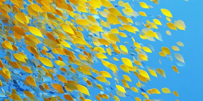 ChatGPT提示词_一幅抽象艺术插图展示了明亮的抗锑黄鱼群在蓝色天空中飞翔_开gpt会员缩略图