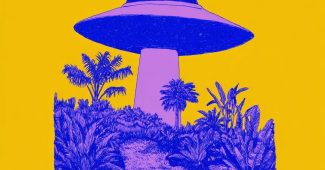 ChatGPT提示词_外星飞船与棕榈树的奇幻结合_gpt会员银行卡被拒绝缩略图