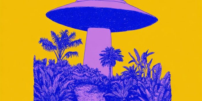 ChatGPT提示词_外星飞船与棕榈树的奇幻结合_gpt会员银行卡被拒绝缩略图