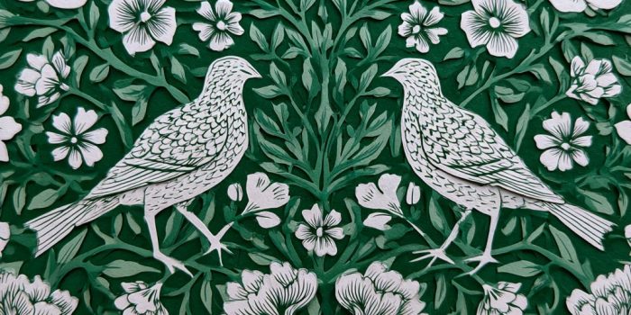 6abcf0666dbdad962909272ca7c5b0a0