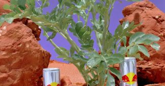 ChatGPT_AI提示词_这是一组展示红牛罐的商业拍摄_chatgpt会员怎么买缩略图