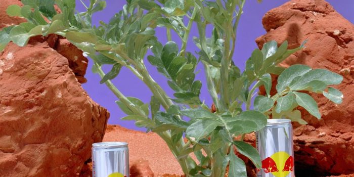 ChatGPT_AI提示词_这是一组展示红牛罐的商业拍摄_chatgpt会员怎么买缩略图