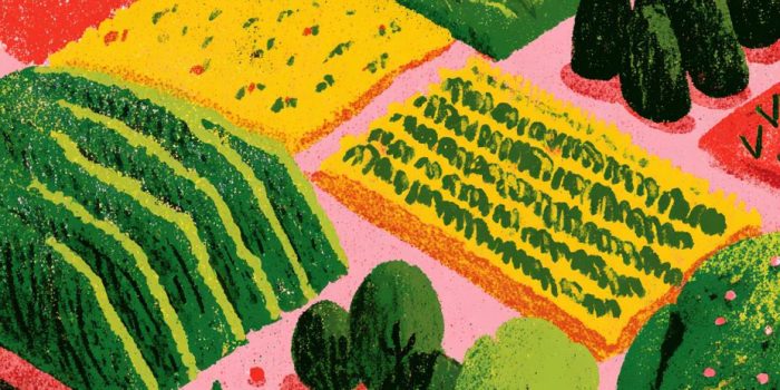 ChatGPT提示词_小而整齐的各种风格化农作物布局_grok免费版缩略图