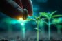 ChatGPT_AI提示词_手中握着发光的绿色大麻种子悬浮在黑色土壤上_chatgpt充值缩略图