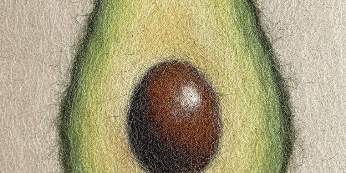 ChatGPT_AI提示词_羊毛毡画以细小绒毛表现牛油果_国内如何买gpt会员卡便宜一点缩略图