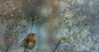 7844fe91ecf01730837954d8542ad484