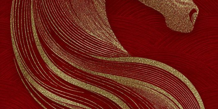 792eb672db5085a0cbb866af436af52e