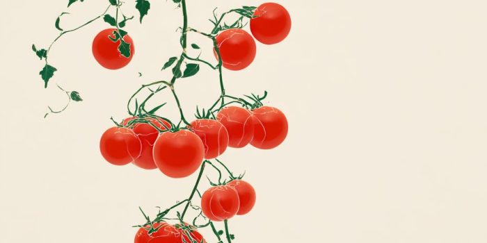 ChatGPT提示词_一款受草间弥生启发的简单番茄藤印花_chatgpt 官网缩略图
