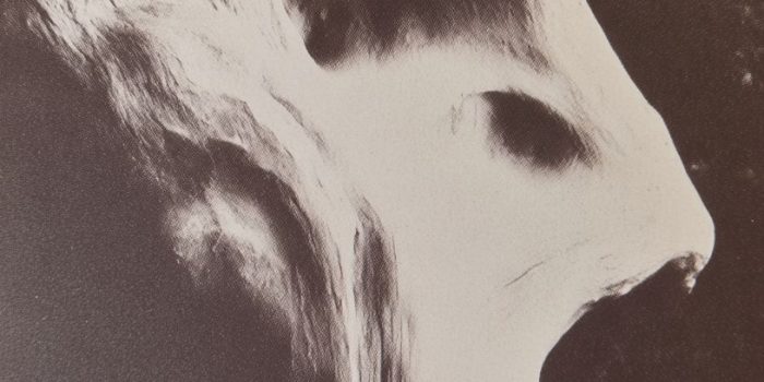 ChatGPT_AI提示词_扭曲木材的特写照片_chatgpt5和4的对比图缩略图