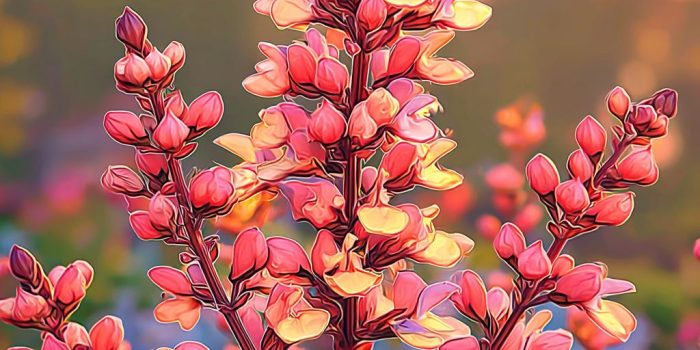 AI提示词_一朵鲜艳的鼠尾草_chatgpt5.0有出吗缩略图