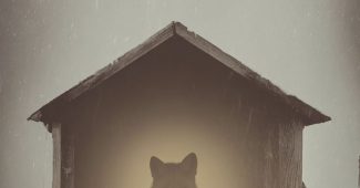 ChatGPT_AI提示词_一只聪明的狐狸巢穴_chatgpt会员版缩略图